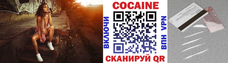 Купить закладки  Гусь-Хрустальный  Кокаин Эквадор 