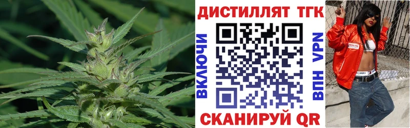 Купить  Гусь-Хрустальный  ТГК вейп 