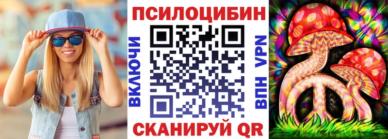 Купить  Гусь-Хрустальный  Псилоцибиновые грибы Psilocybe 